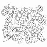 Flower Patterns Trace Popular Library Clipart Coloring Wallflower Garden sketch template