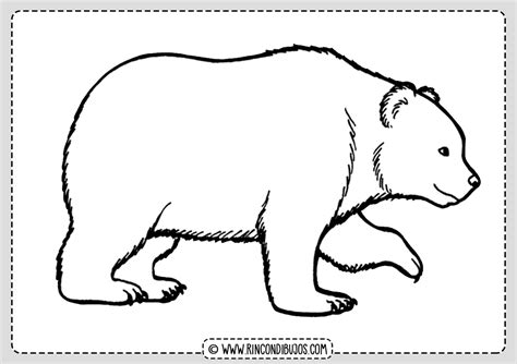 dibujo  colorear oso ilustracion imagenes  escuelas  images