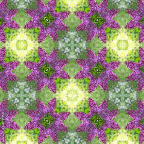 pattern  fresh lilacs stock photo  royalty  images  fotoliacom pic