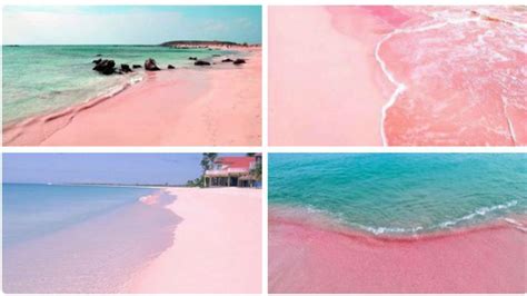 ¿conoces la espectacular playa de arena rosa la red