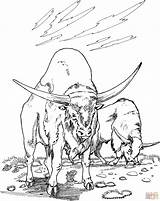 Coloring Water Buffalo Pages Outline Two Buffaloes Printable Color Main Gif Buffalos Skip Comments Dot Drawing sketch template