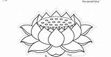 Lotus Colouring sketch template
