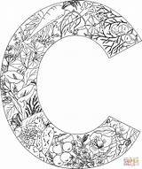 Letter Coloring Pages Alphabet Letters Printable Adult Plants Print Clipart Adults Color Buchstabe Numbers Supercoloring Visit Library Popular sketch template