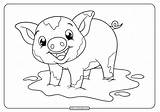 Pig Coloring Pages Baby Printable Whatsapp Tweet Email sketch template