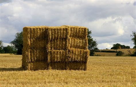 hay stack  field  photo  freeimages