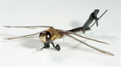 insect  nano drones