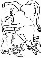 Coloriage Mucche Vaches Disegno Preleva Gifgratis sketch template