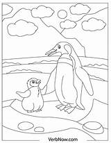 Penguins Penguin Verbnow sketch template