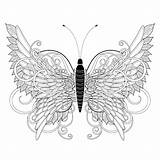 Butterfly Coloring Pages Unusual раскраски Insects все из категории sketch template