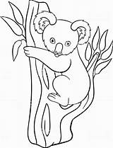 Koala Coloring Pages Cute Printable Drawing Bear Baby Color Tree Getdrawings Kids Doodle Print sketch template