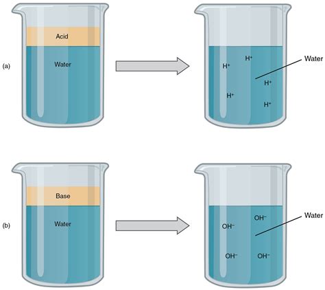 figure shows  beakers   liquids