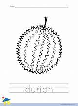 Durian Coloring sketch template