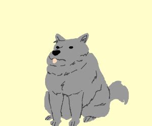 fat wolf drawception