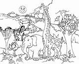 Coloring Forest Animals Pages Animal Getdrawings sketch template
