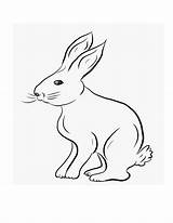 Rabbit Coloring Pages Printable Kids Bunny Print Color Colouring Sheets Bestcoloringpagesforkids Animal Choose Board sketch template