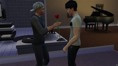 life simulation video game the sims removes gender barriers in