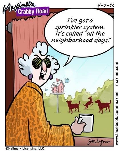 17 best images about maxine house and garden on pinterest true grit christmas humor and oil