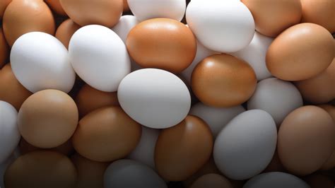 science miracle disease fighting chicken eggs