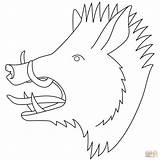 Boar Wild Coloring Head Clip Clipart Boars Vector Pig Pages Hog Outline Animal Svg Cliparts Drawing Puzzle Come sketch template