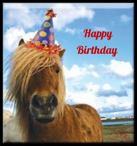 happy birthday horse ideas  pinterest