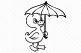 Umbrella Duck Template Coloring Pages sketch template