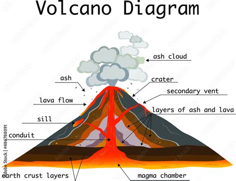 volcano parts  eruption diagram  labels stock vector adobe stock