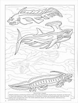 Sharks Sticker sketch template