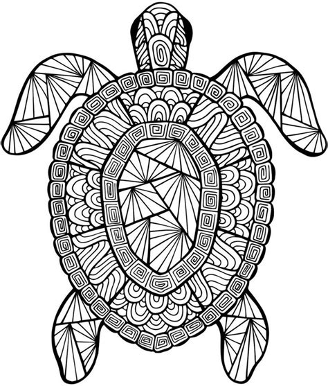 turtle coloring pages  kids  adults  coloring