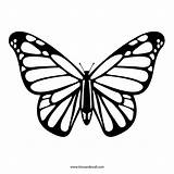 Butterfly Stencil Monarch Printable Outline Silhouette Templates sketch template