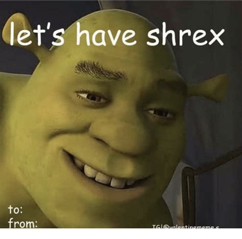 Let S Have Shrex To From Let S Meme On Me Me