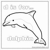 Dolphin Word Coloring Pages Dolphins Search Kids Yahoo Activities Print Printables Visit Finds sketch template