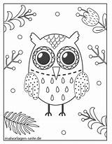 Eule Malvorlagen Malvorlage Eulen Owls Seite Ausgemalt Verbnow Hochwertige Große Augen sketch template