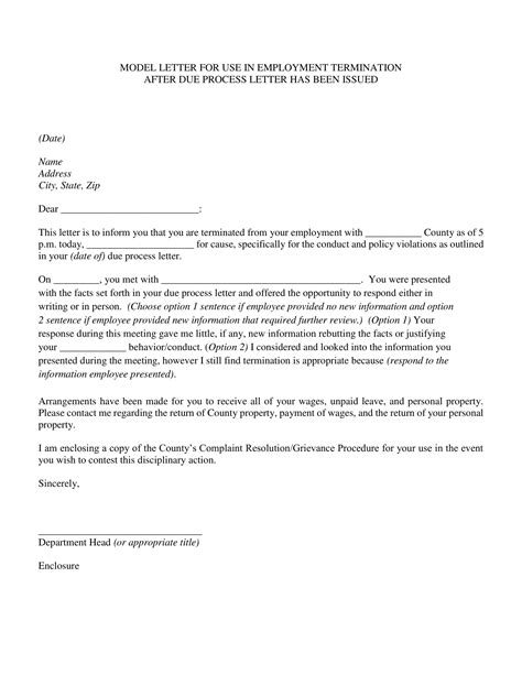 sample letter  termination  employment    document