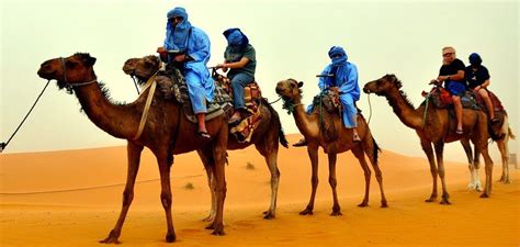 fotos de camellos paisaje de desierto fotos hd  paisajes