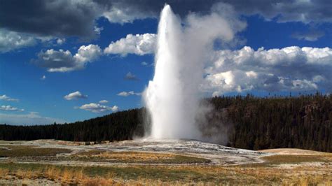 faithful geyser  yellowstone men walk    face charges