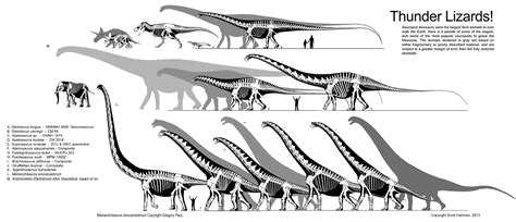 biggest sauropods hartman paul dinosaurs