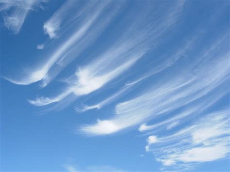 cirrus clouds stock photo freeimagescom