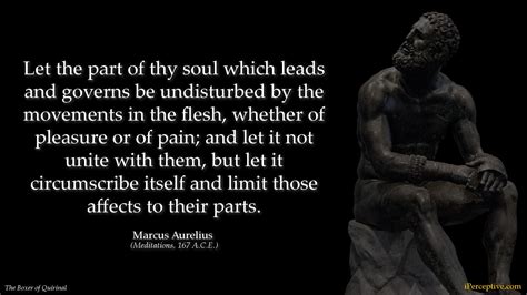 powerful stoic quotes  pain  pleasure nirvanic insights