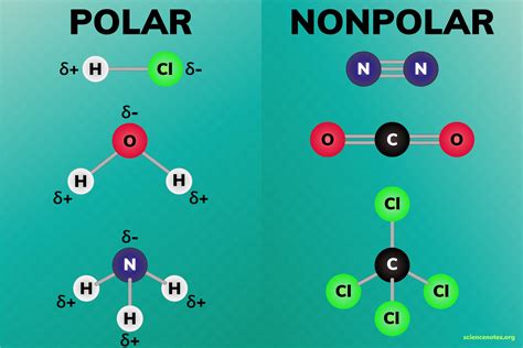 polar  nonpolar molecules