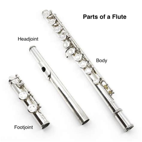 lesson  assembly  disassembly flute boot camp