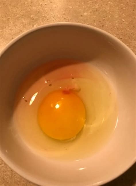 cracked  bloody egg superstition    die
