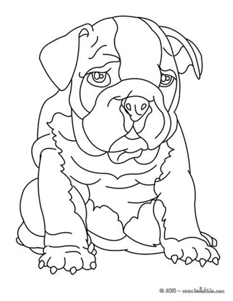 bulldog coloring pages hellokidscom
