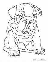 Bulldog Pages Coloring English Georgia Print Color Dog Hellokids Online Getdrawings Choose Board Nicely Imagination Warm sketch template