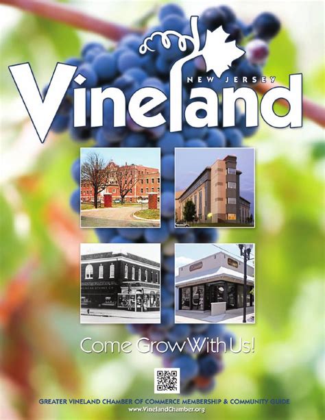 vineland nj community profile  townsquare publications llc issuu