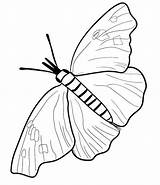 Butterfly Printable Coloring Pages Cocoon Morpho Blue Getcolorings Color Getdrawings Monarch Colorings sketch template