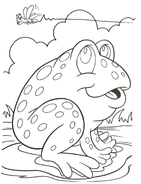 animal reptile  amphibians frog coloring pages