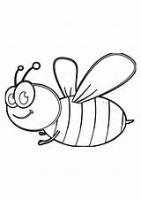 Coloring Pages Bee sketch template