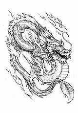 Dragon Coloring Chinese China Pages Asia Adults sketch template