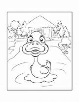 Ducks Verbnow sketch template