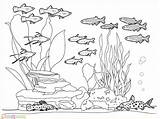 Mewarnai Laut Pemandangan Bawah Sd Floor Reef Menggambar Marimewarnai Terbaru Paud Ikan Dasar Sketsa Ide Imagixs Kolam Bagus sketch template